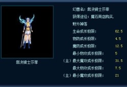 魔域法师带3个什么宝宝好_魔域私服