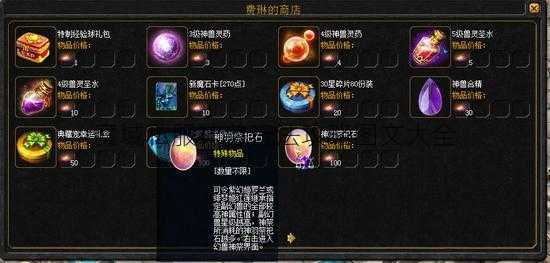 魔域私服神兽玩法攻略图文大全  第2张