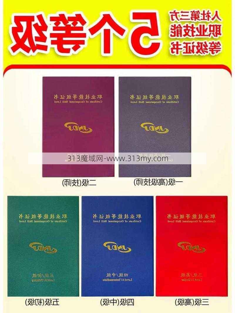 010-630技能等级——等级164指南揭晓  第1张